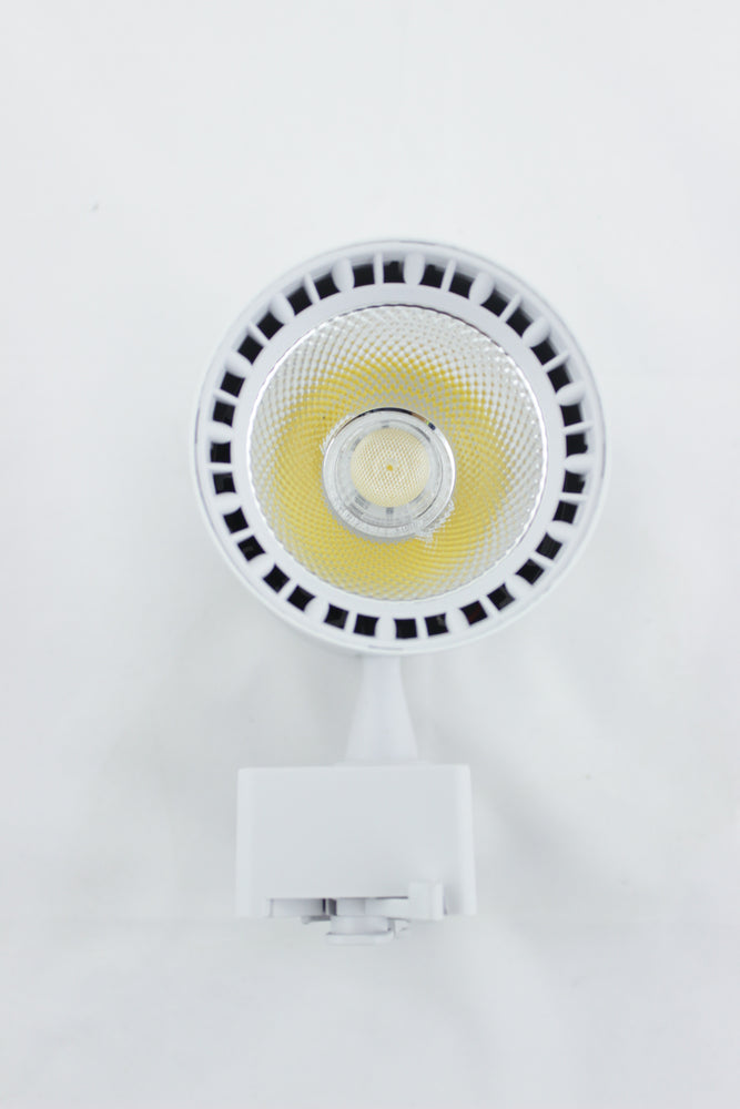 LAMPARA GD -109 20W BLANCA LUZ 4200K